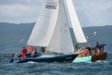 bluefin 2555c whyw16 sun 800 0607w